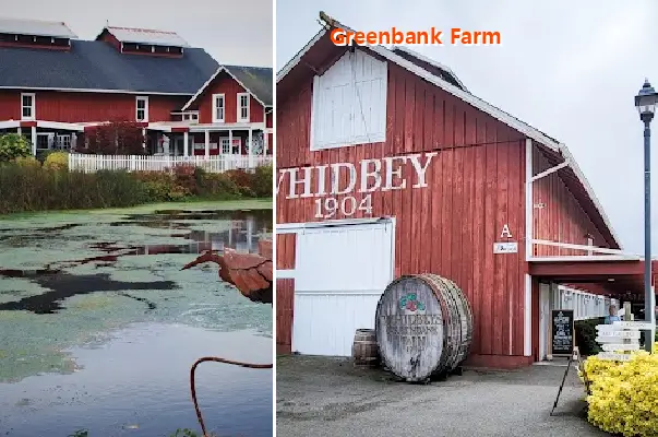 greenbank farm