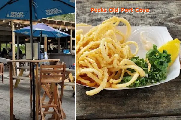 pecks old port cove
