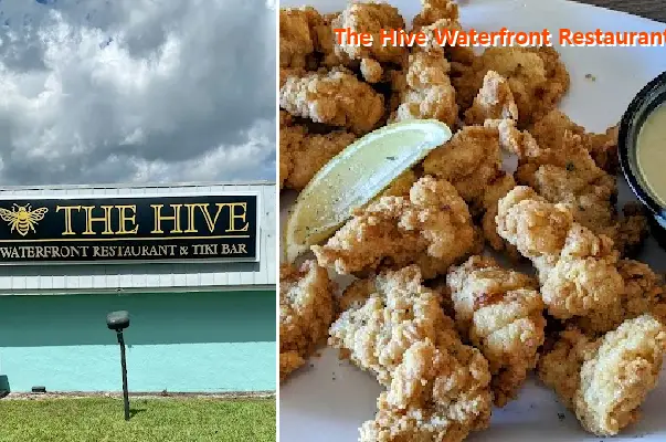 the hive waterfront restaurant  tiki