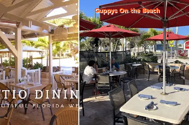 guppys on the beach