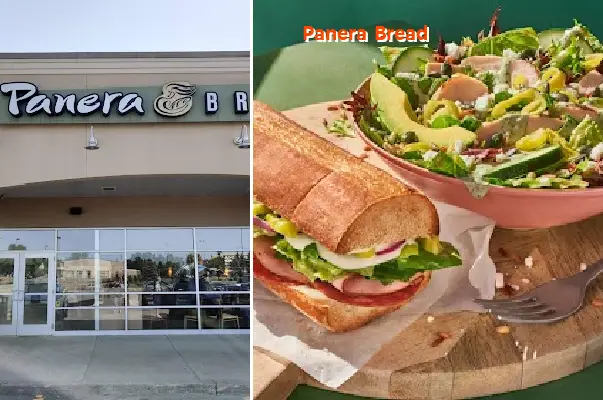 panera bread ny