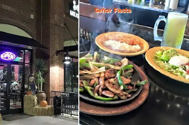 señor fiesta ga