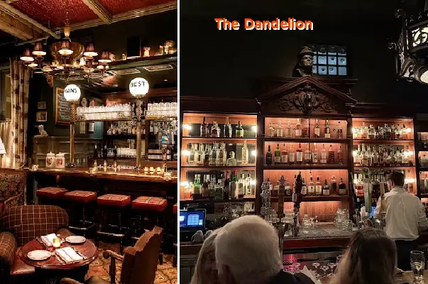 the dandelion
