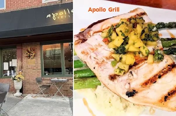 apollo grill
