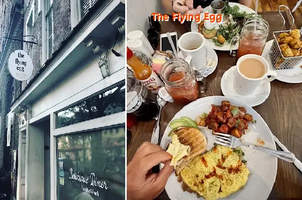 the flying egg