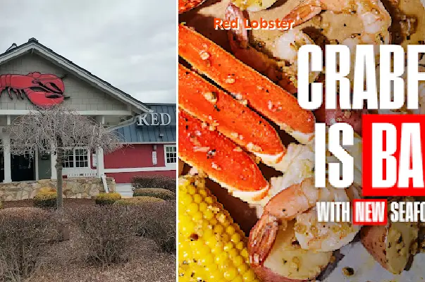 red lobster pa 15236
