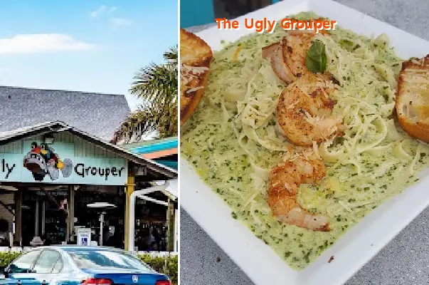 the ugly grouper
