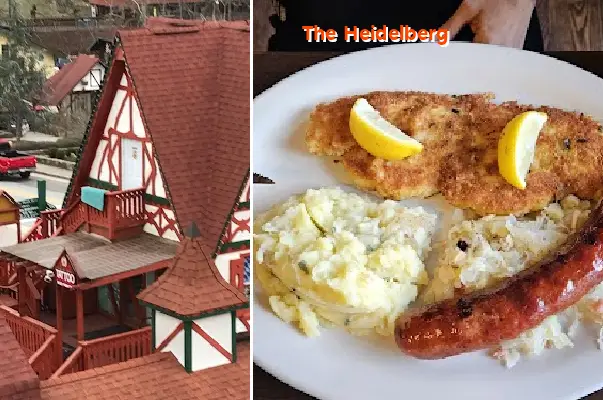the heidelberg