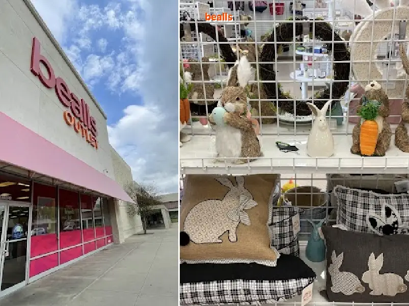 bealls 32304