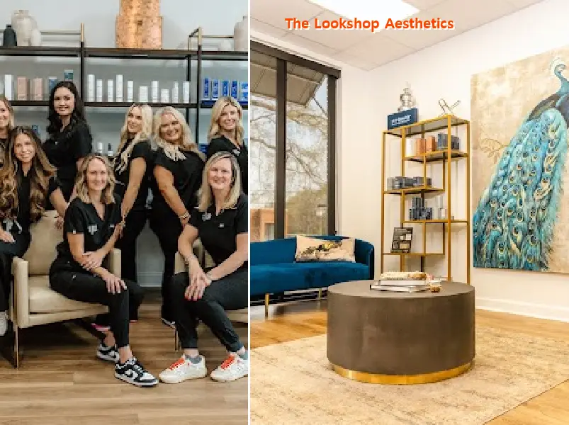 the lookshop aesthetics
